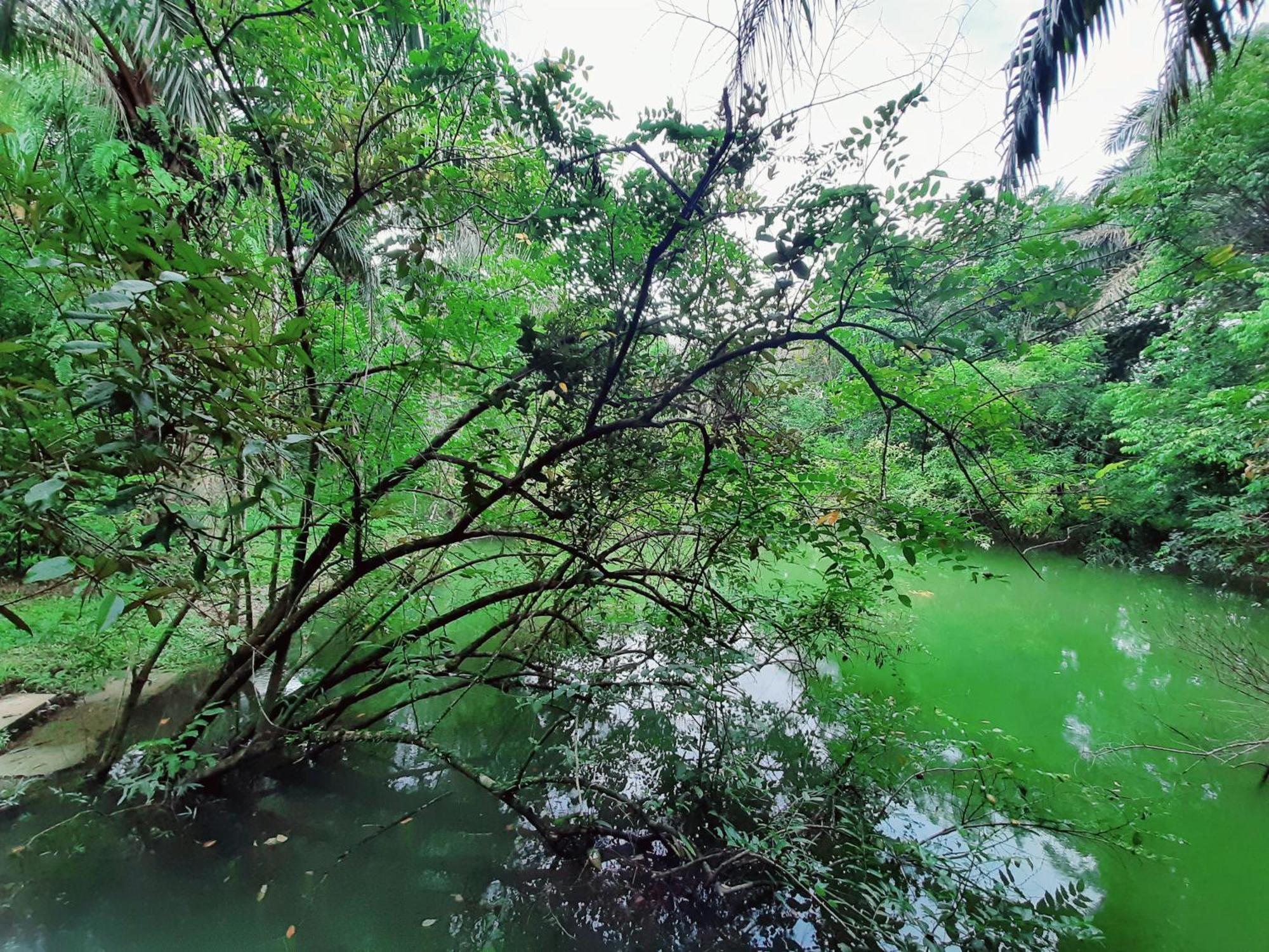 Tuaprodhome Khao Lak Bilik gambar