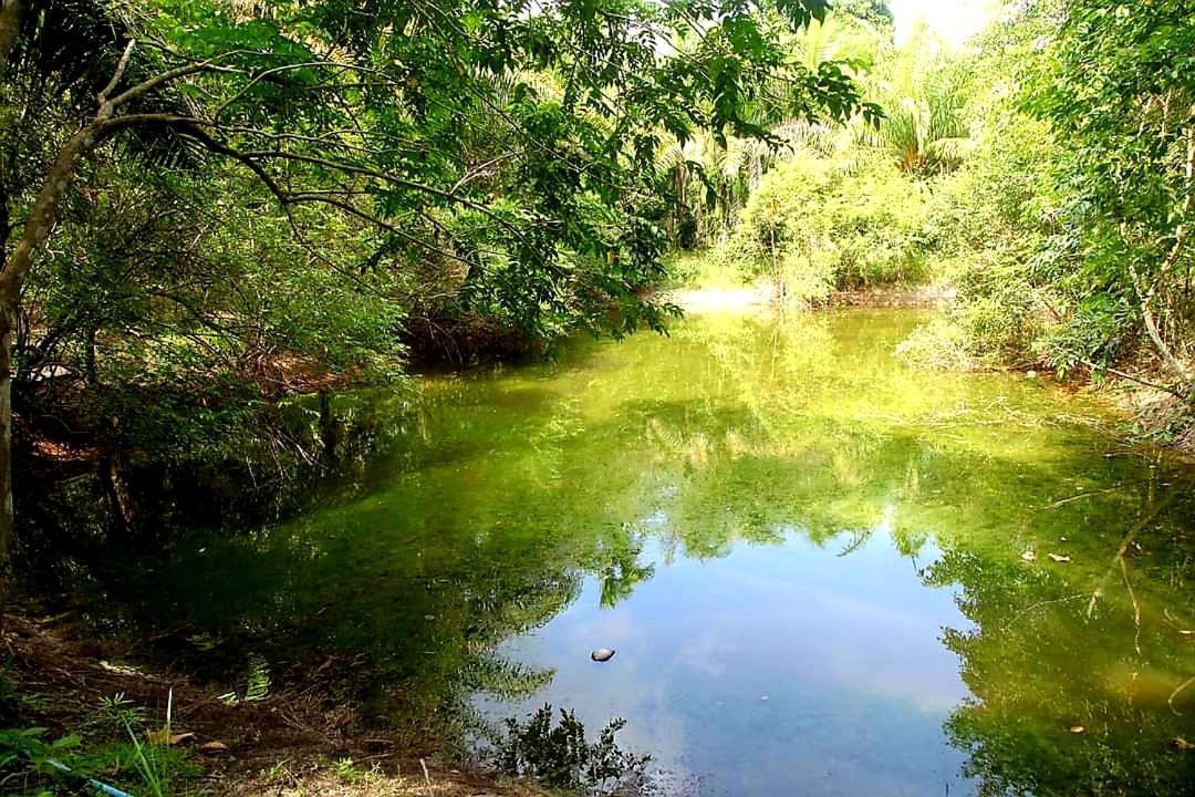 Tuaprodhome Khao Lak Bilik gambar