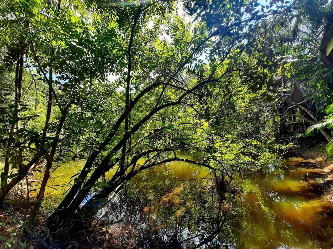 Tuaprodhome Khao Lak Bilik gambar