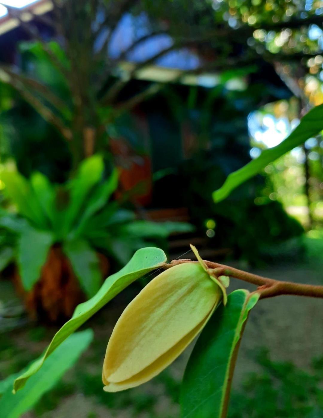 Tuaprodhome Khao Lak Bilik gambar