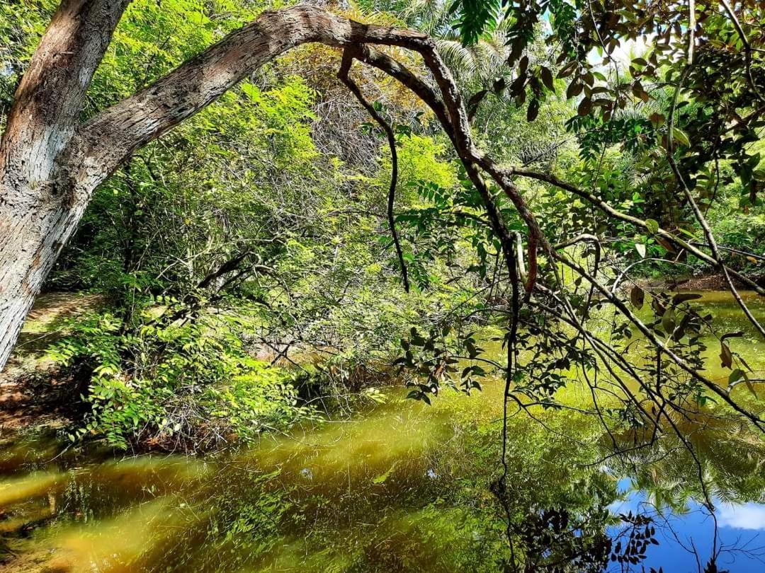 Tuaprodhome Khao Lak Bilik gambar