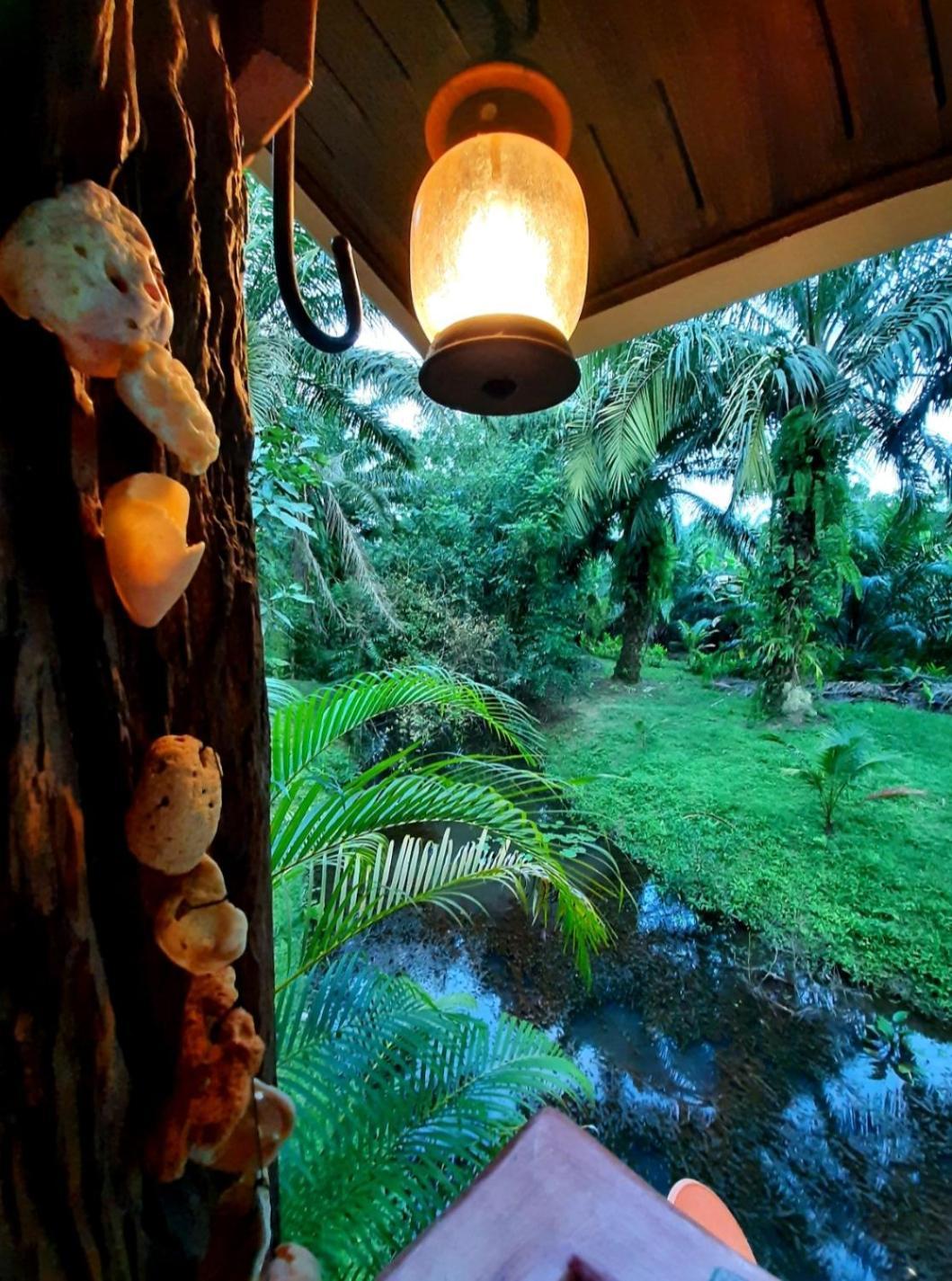 Tuaprodhome Khao Lak Bilik gambar