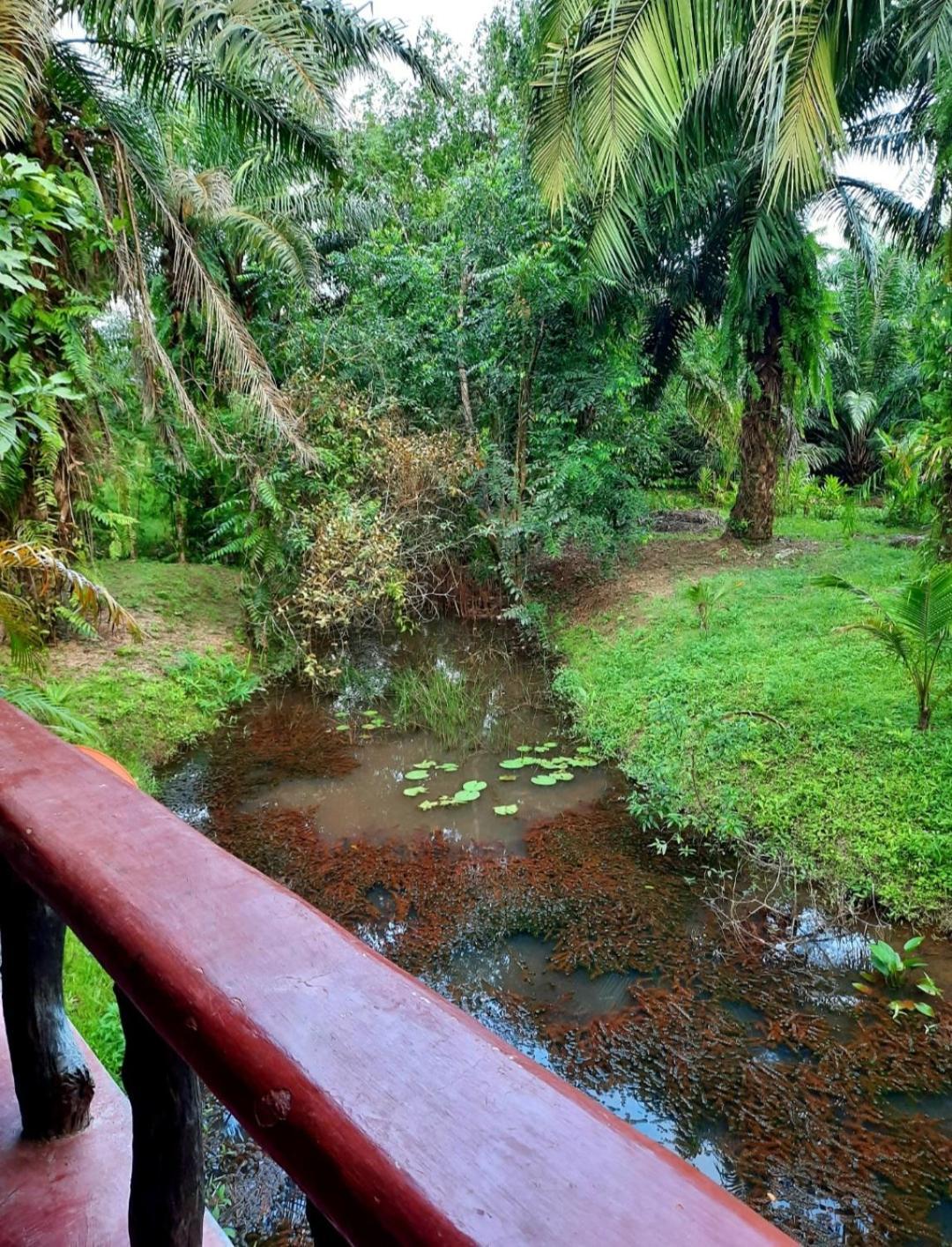 Tuaprodhome Khao Lak Bilik gambar