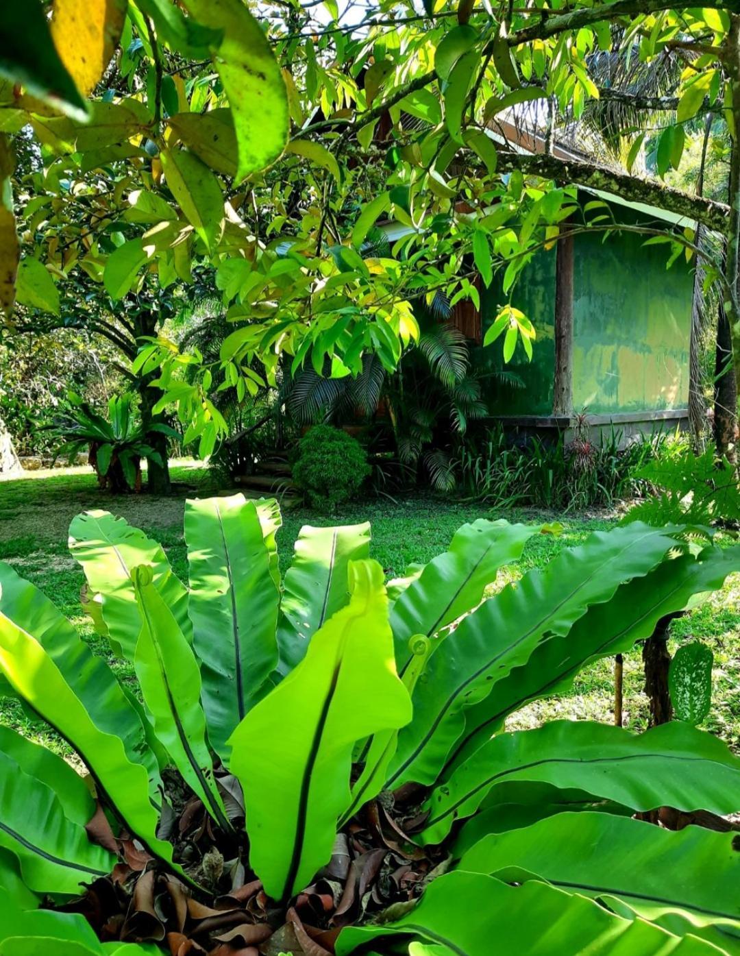 Tuaprodhome Khao Lak Bilik gambar