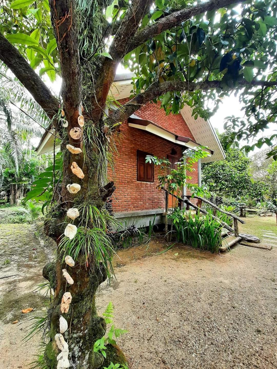 Tuaprodhome Khao Lak Bilik gambar