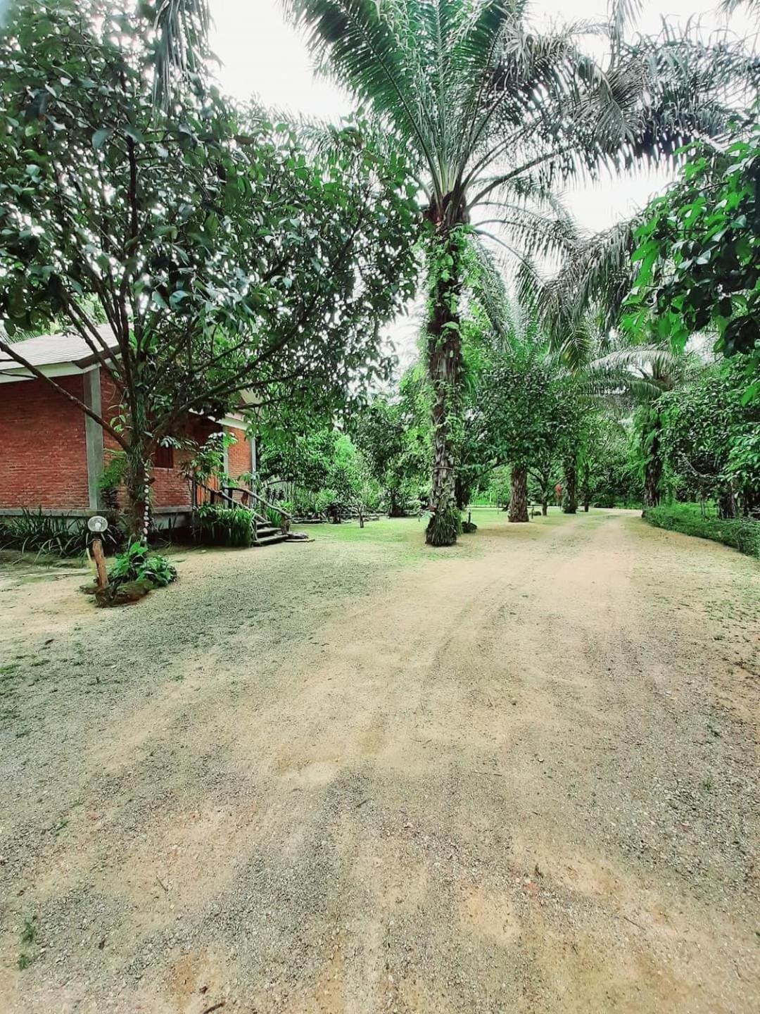 Tuaprodhome Khao Lak Bilik gambar